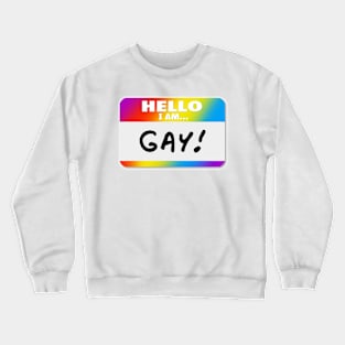 Hello! I'm Gay Crewneck Sweatshirt